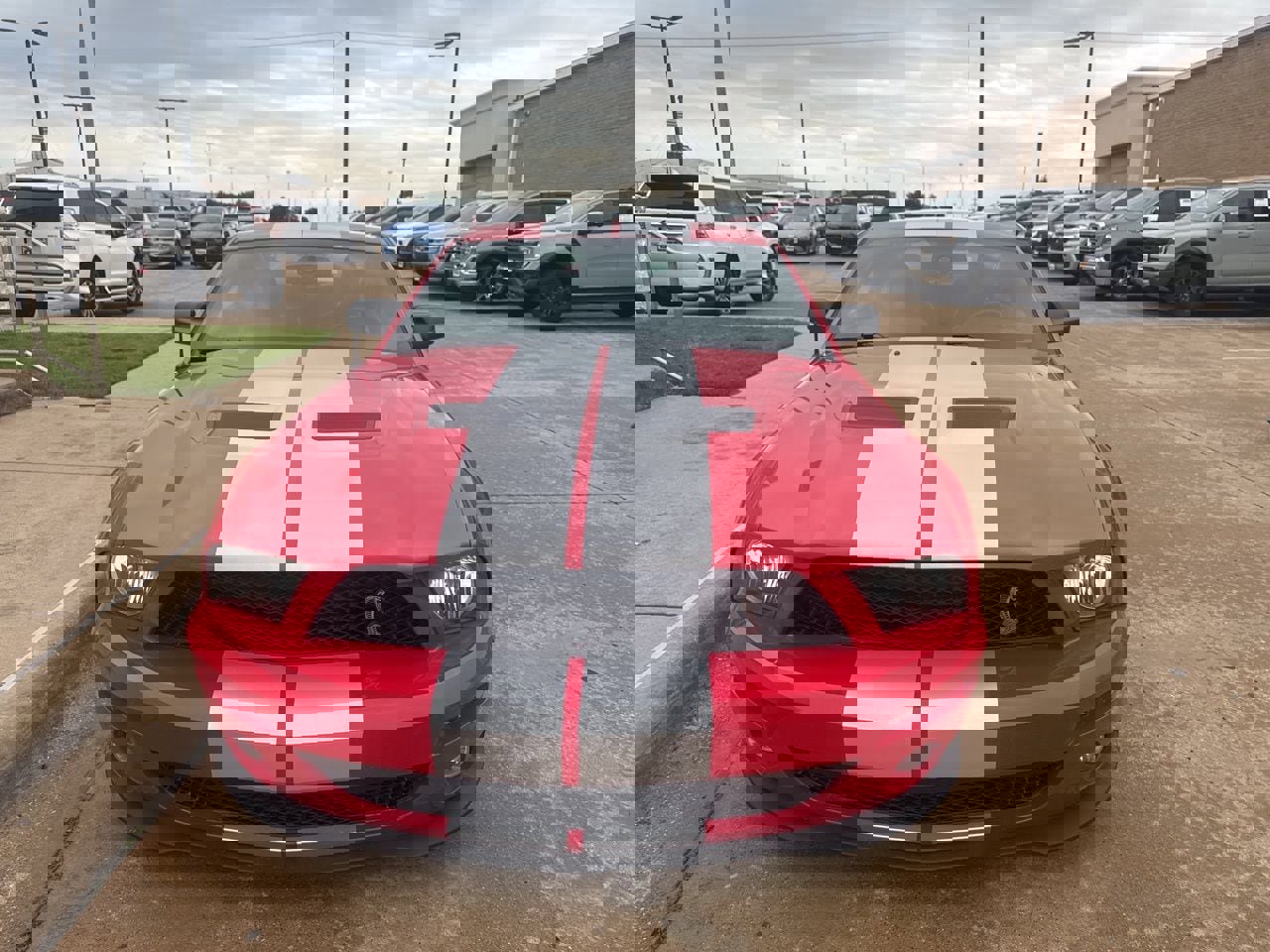 Used 2007 Ford Mustang Shelby GT500 RWD image 2