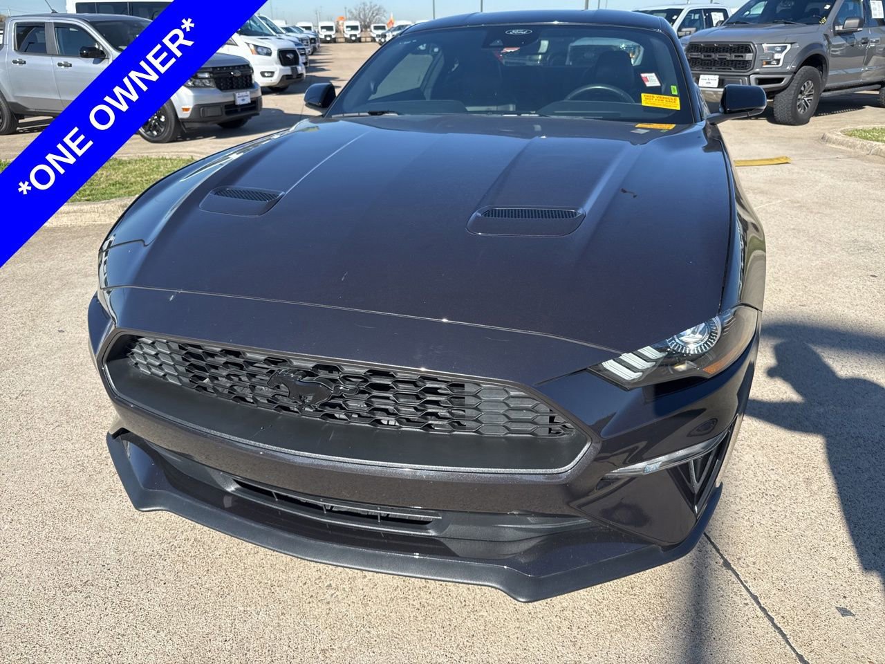 Used 2023 Ford Mustang Premium w/ Equipment Group 201A image 2