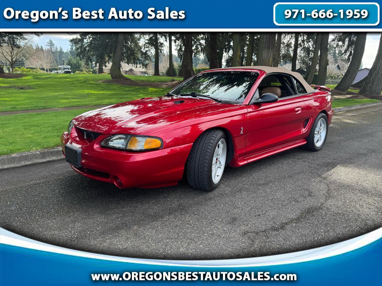 Used 1996 Ford Mustang Cobra RWD image 1