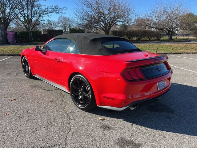 Certified 2019 Ford Mustang Premium w/ Equipment Group 201A image 6