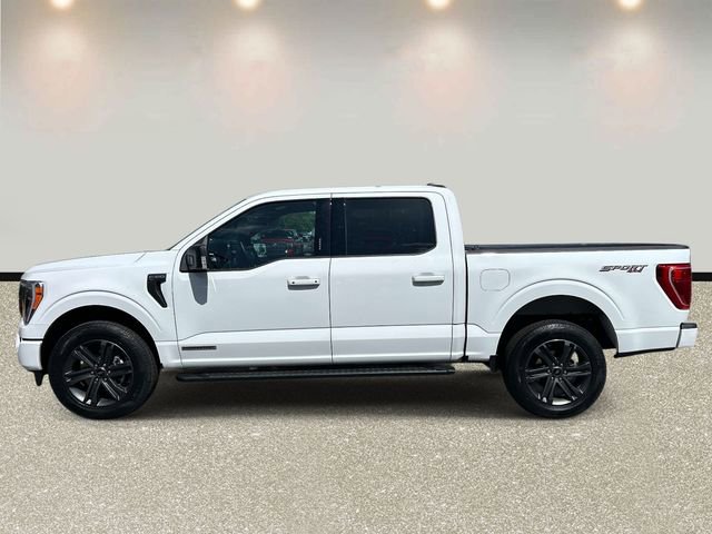 Certified 2023 Ford F150 XLT w/ Equipment Group 302A High AWD/4WD image 8
