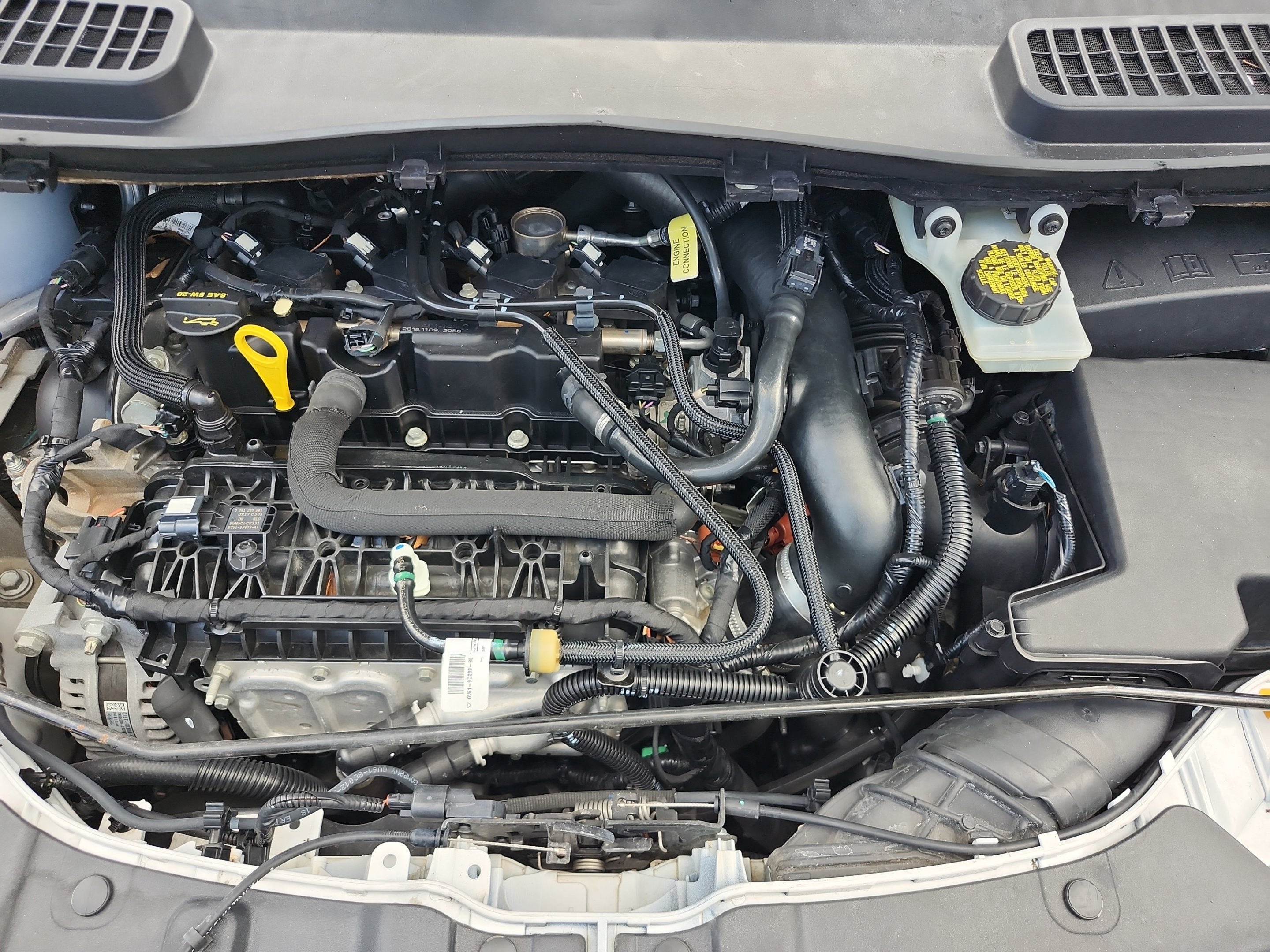 Used 2019 Ford Escape SEL FWD image 21