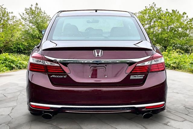 Used 2017 Honda Accord Sport Special Edition image 4