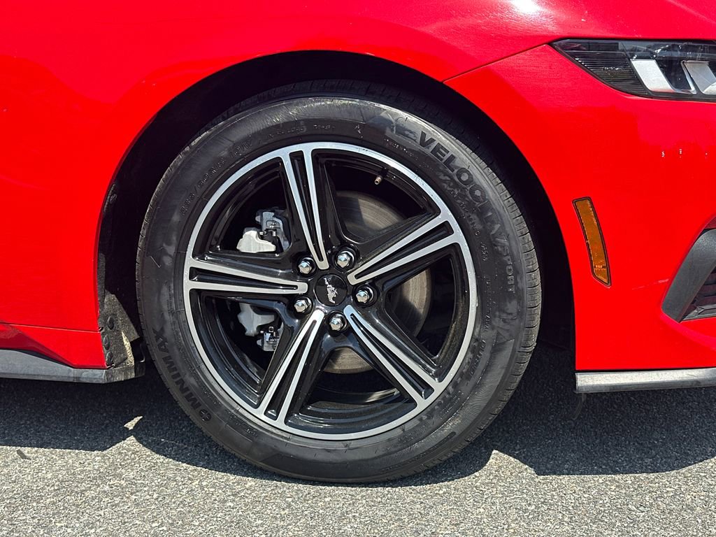 Used 2024 Ford Mustang Premium image 12