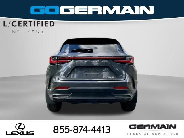 Certified 2024 Lexus NX 250 FWD w/ Cold Area Package image 7