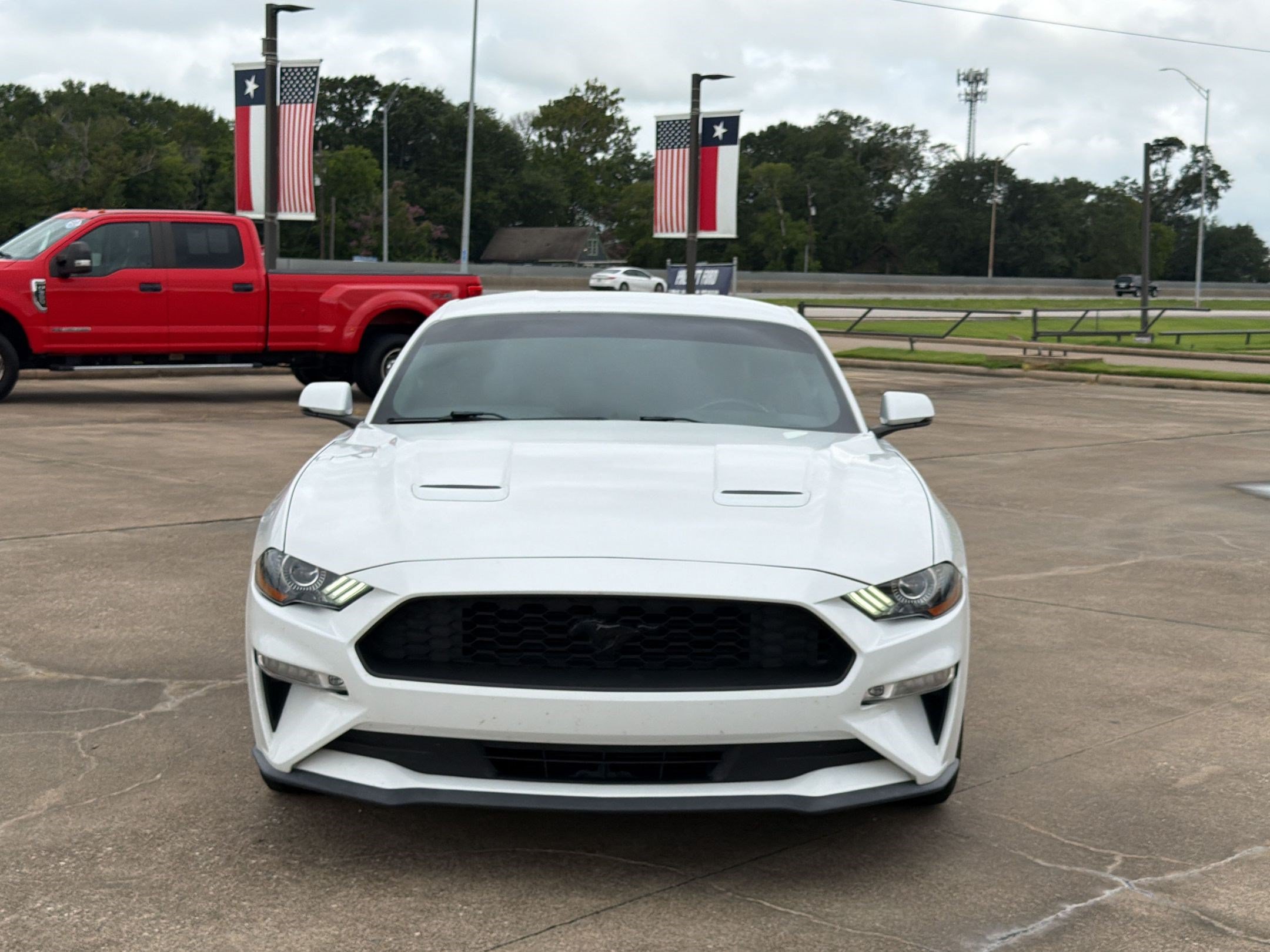 Used 2019 Ford Mustang Premium RWD image 6