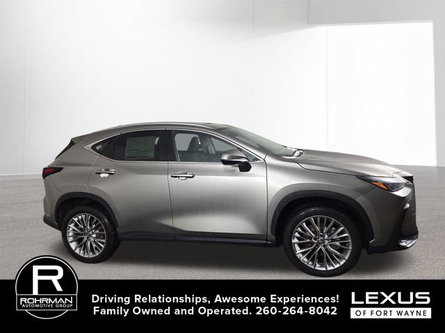 Used 2025 Lexus NX 350h AWD w/ Premium Package image 5