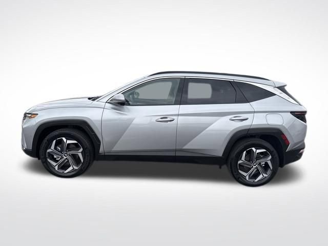 Used 2024 Hyundai Tucson Limited image 2