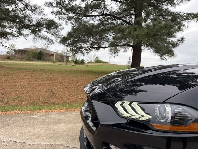 Used 2023 Ford Mustang GT Premium w/ Equipment Group 401A RWD image 9