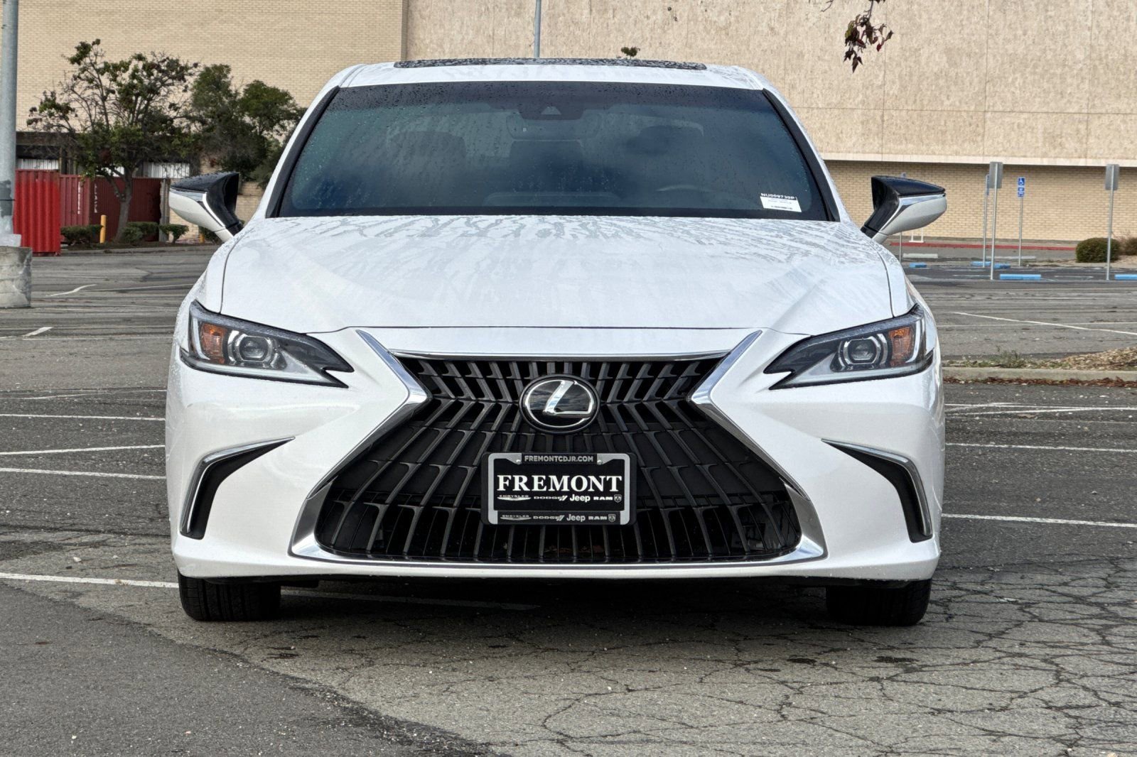 Used 2022 Lexus ES 250 250 w/ Accessory Package 2 image 8