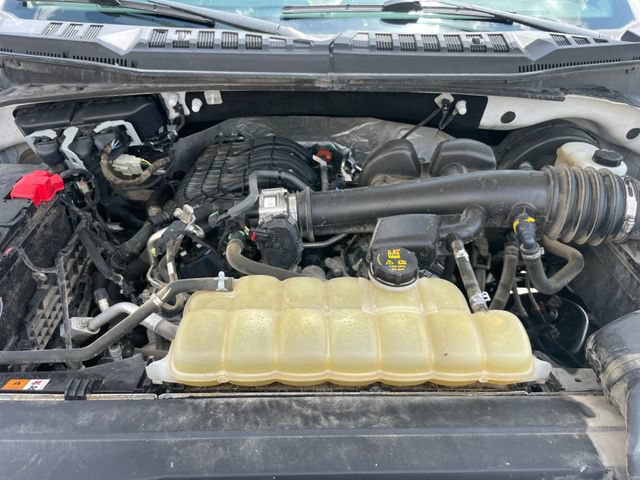 Used 2019 Ford F150 XL w/ Equipment Group 101A Mid RWD image 22