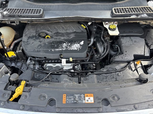 Used 2019 Ford Escape SE image 30