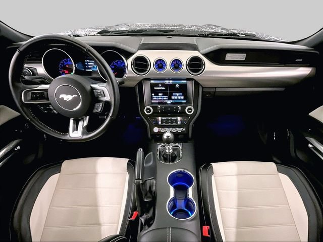 Used 2015 Ford Mustang 50 Years RWD image 14