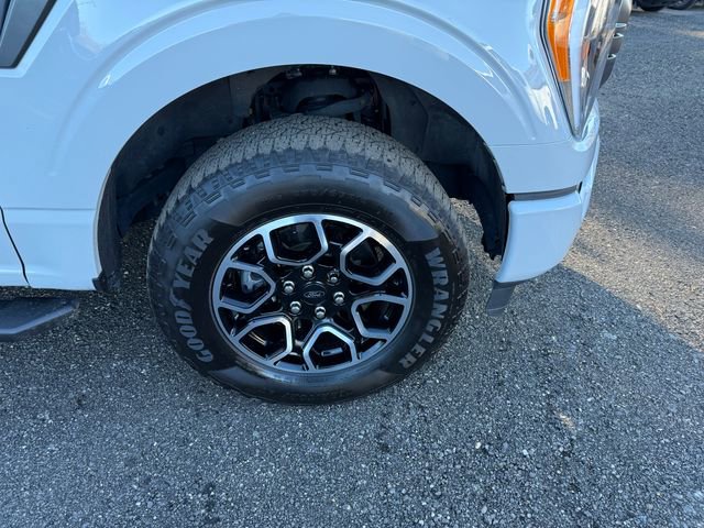 Used 2023 Ford F150 XLT w/ Equipment Group 302A High image 30