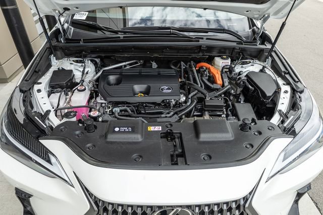 Used 2025 Lexus NX 350h 350h Premium image 15