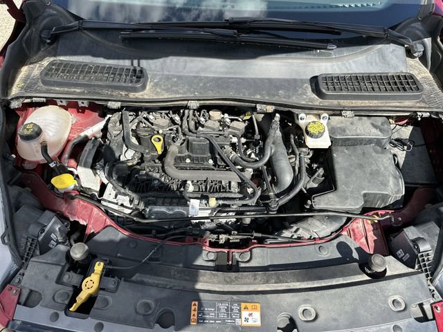 Used 2019 Ford Escape SEL AWD/4WD image 19