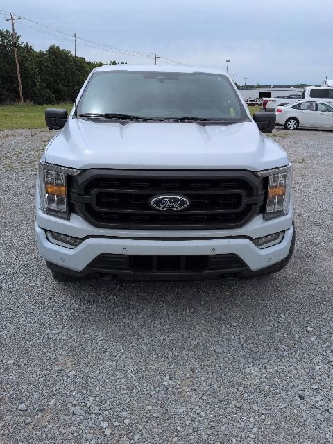 Used 2021 Ford F150 XLT w/ Equipment Group 302A High AWD/4WD image 2