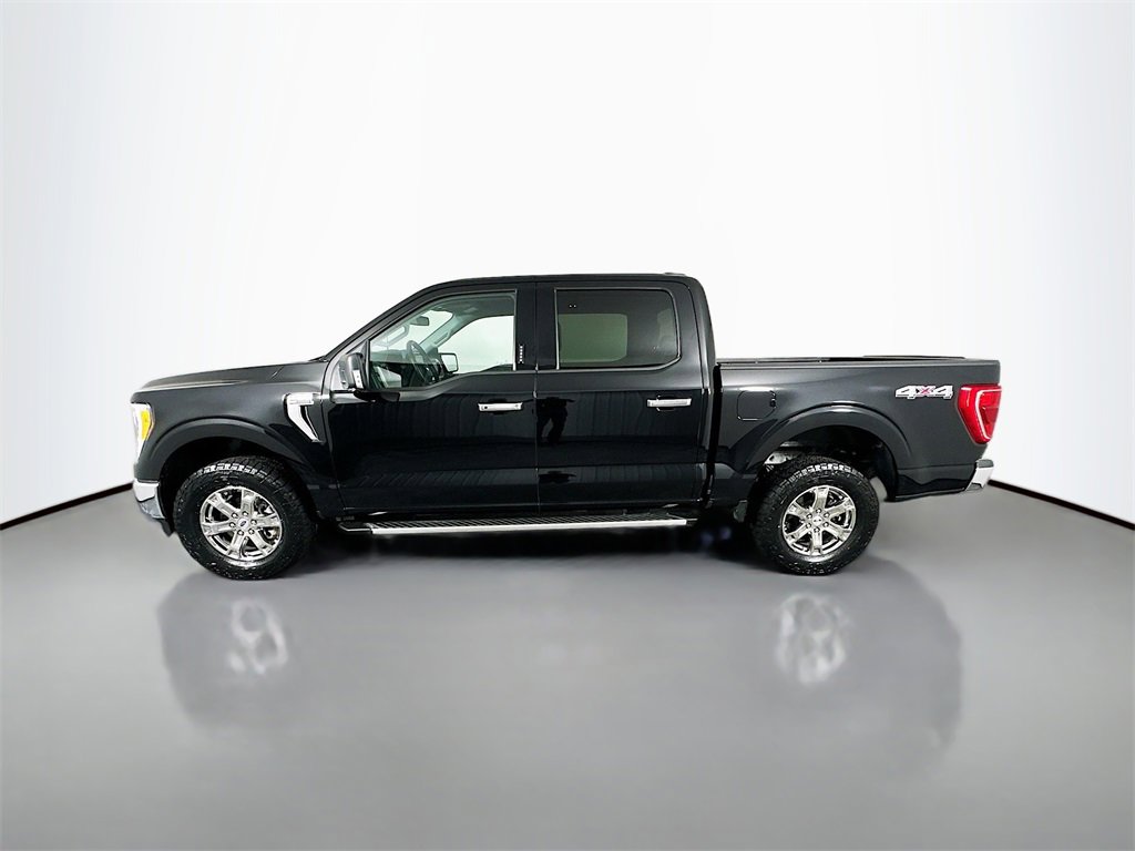 Used 2023 Ford F150 XLT w/ Equipment Group 302A High image 4