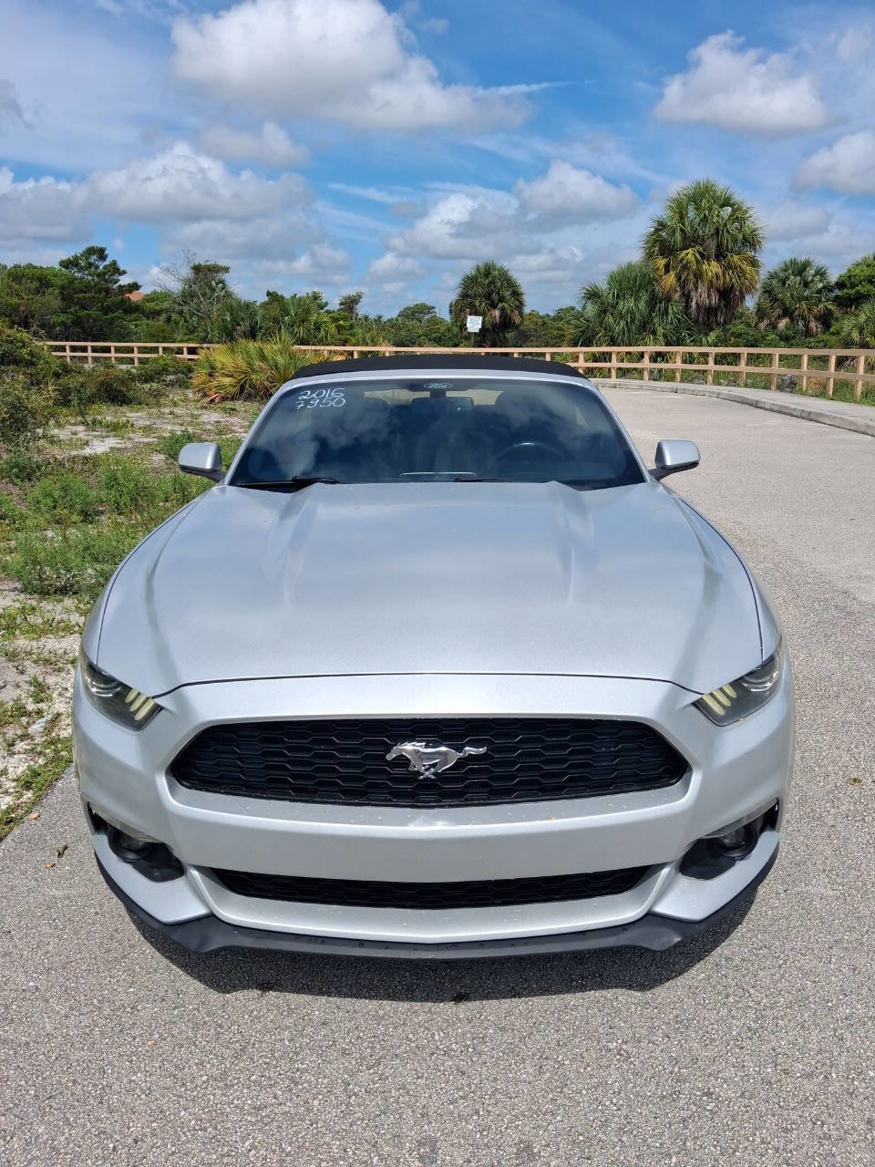 Used 2016 Ford Mustang Premium RWD image 3
