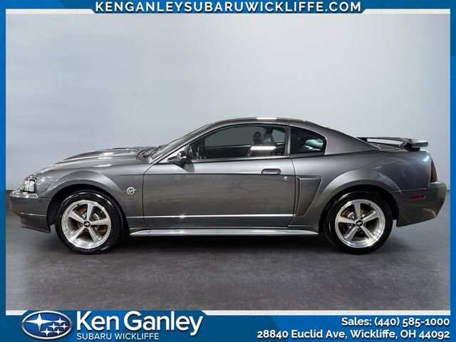 Used 2004 Ford Mustang Mach 1 image 2