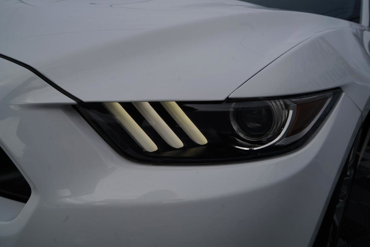 Used 2015 Ford Mustang GT Premium w/ Equipment Group 401A image 87