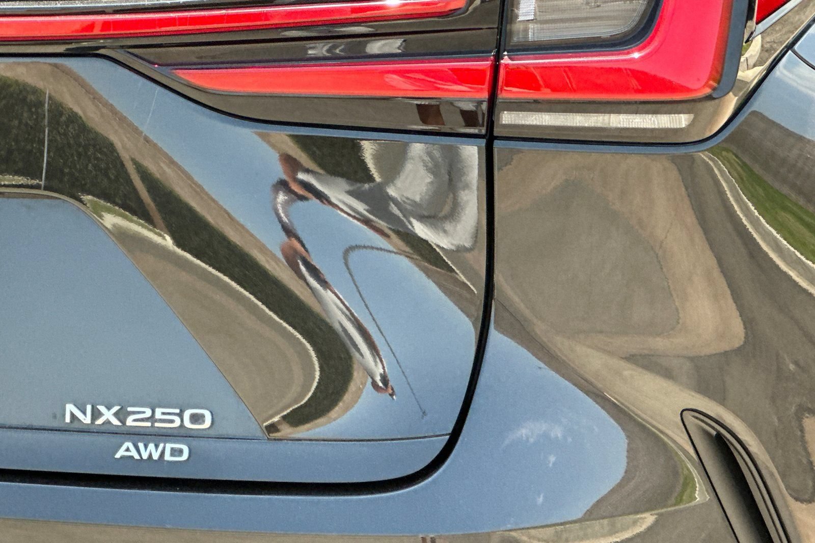Used 2024 Lexus NX 250 AWD w/ Cold Area Package image 28