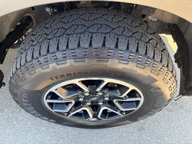 Used 2023 Ford F150 XLT w/ Equipment Group 302A High AWD/4WD image 18