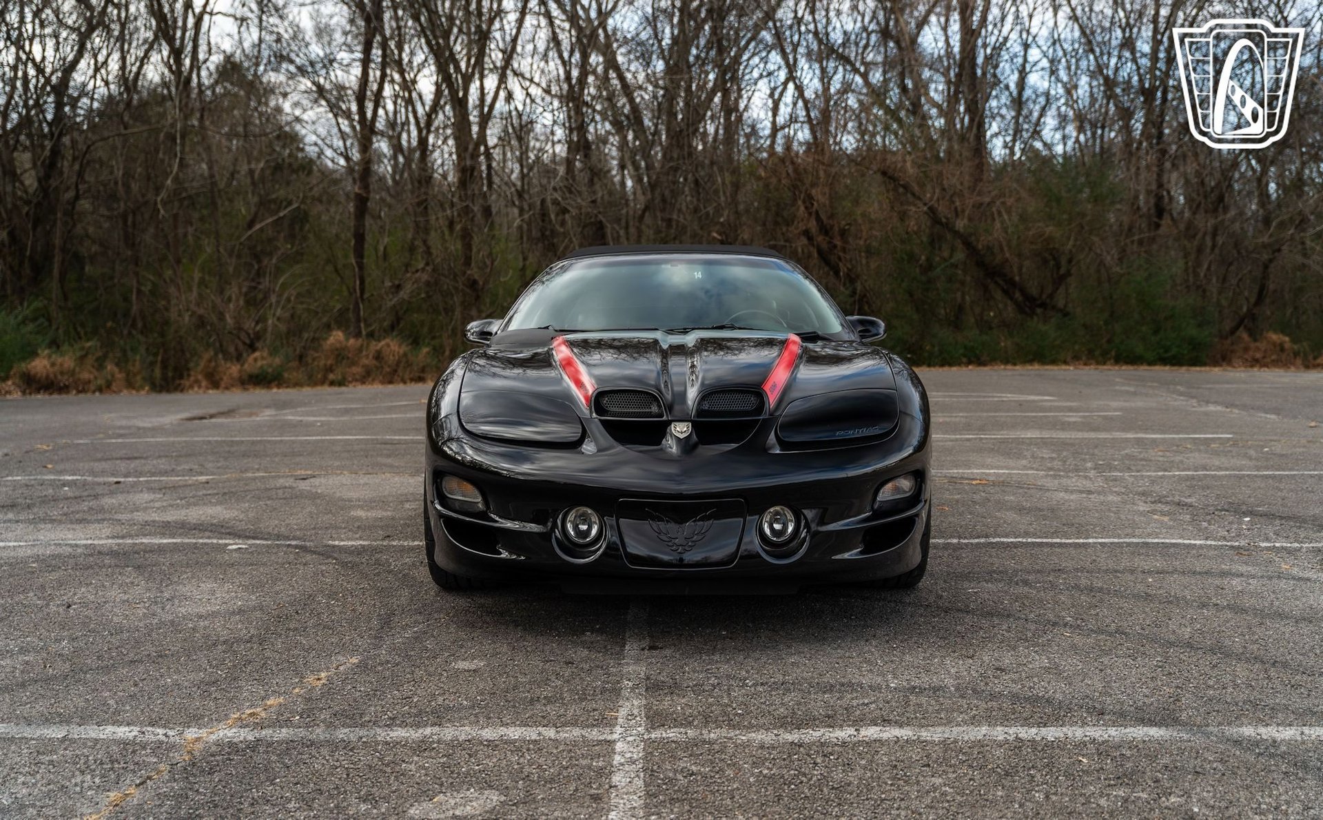 Used 2002 Pontiac Firebird Trans Am image 8