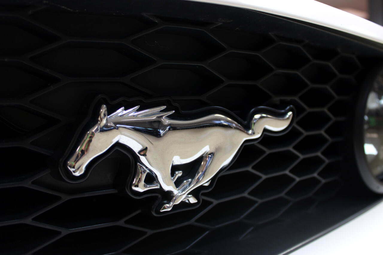 Used 2005 Ford Mustang GT image 14