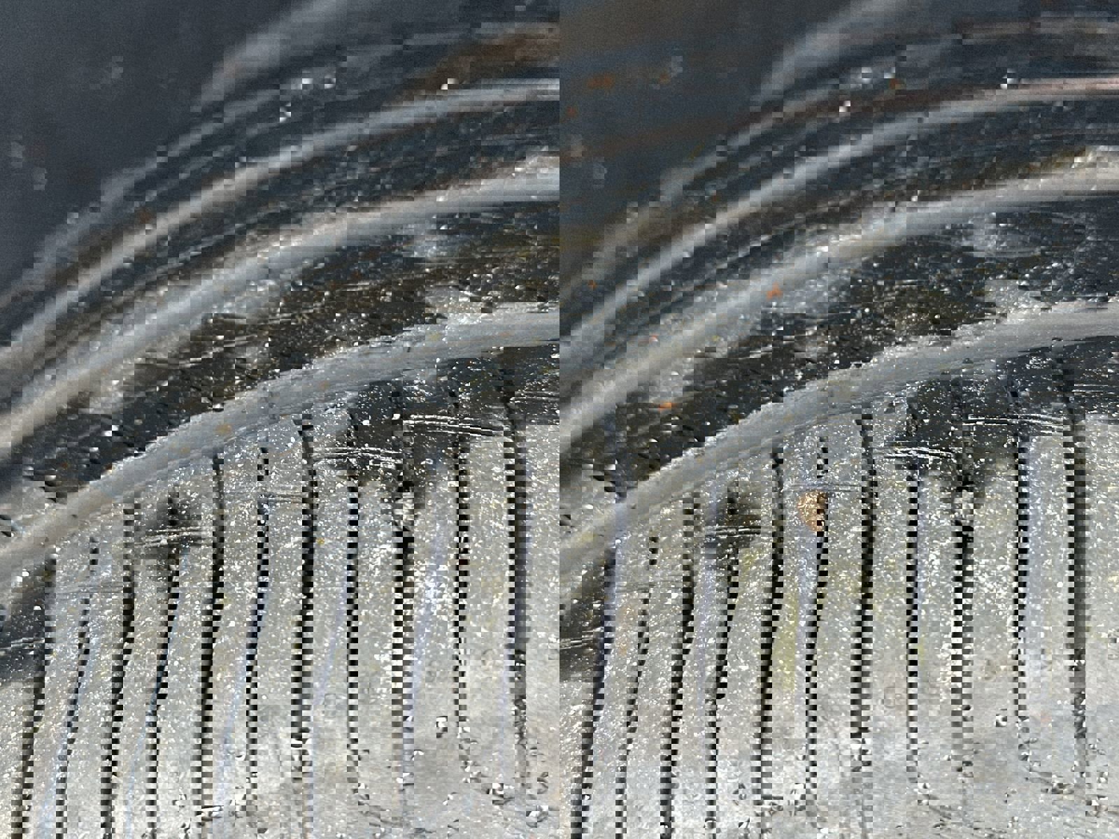 Used 2025 Chevrolet Trax LT w/ LT Convenience Package image 12