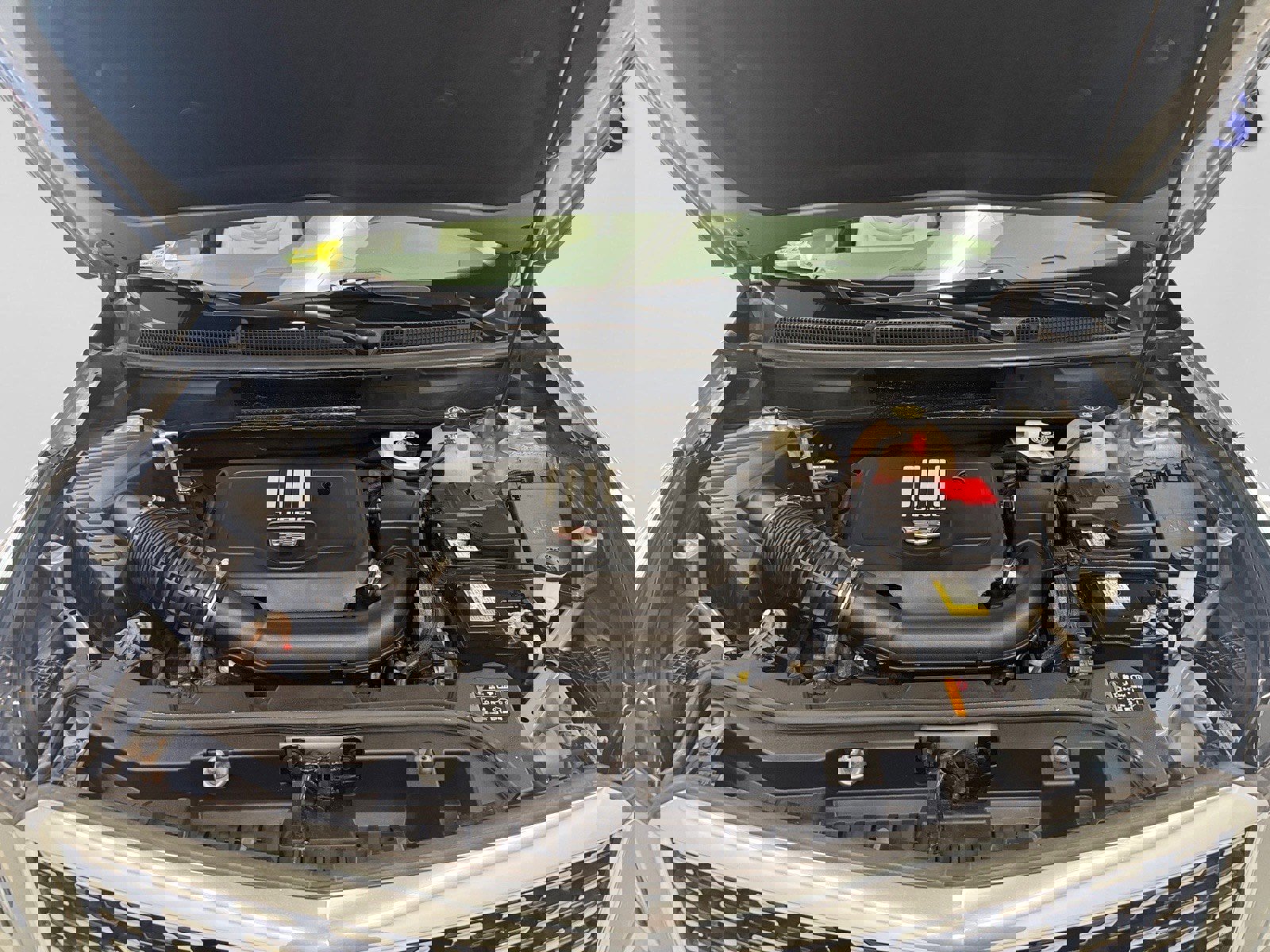 Used 2023 Cadillac XT5 Premium Luxury image 5