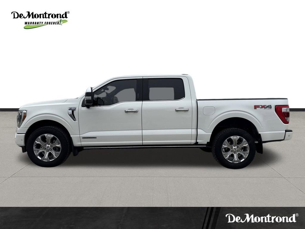 Used 2023 Ford F150 Platinum w/ Equipment Group 701A High AWD/4WD image 8