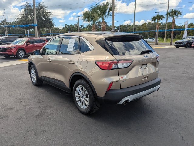 Used 2020 Ford Escape SE AWD/4WD image 6