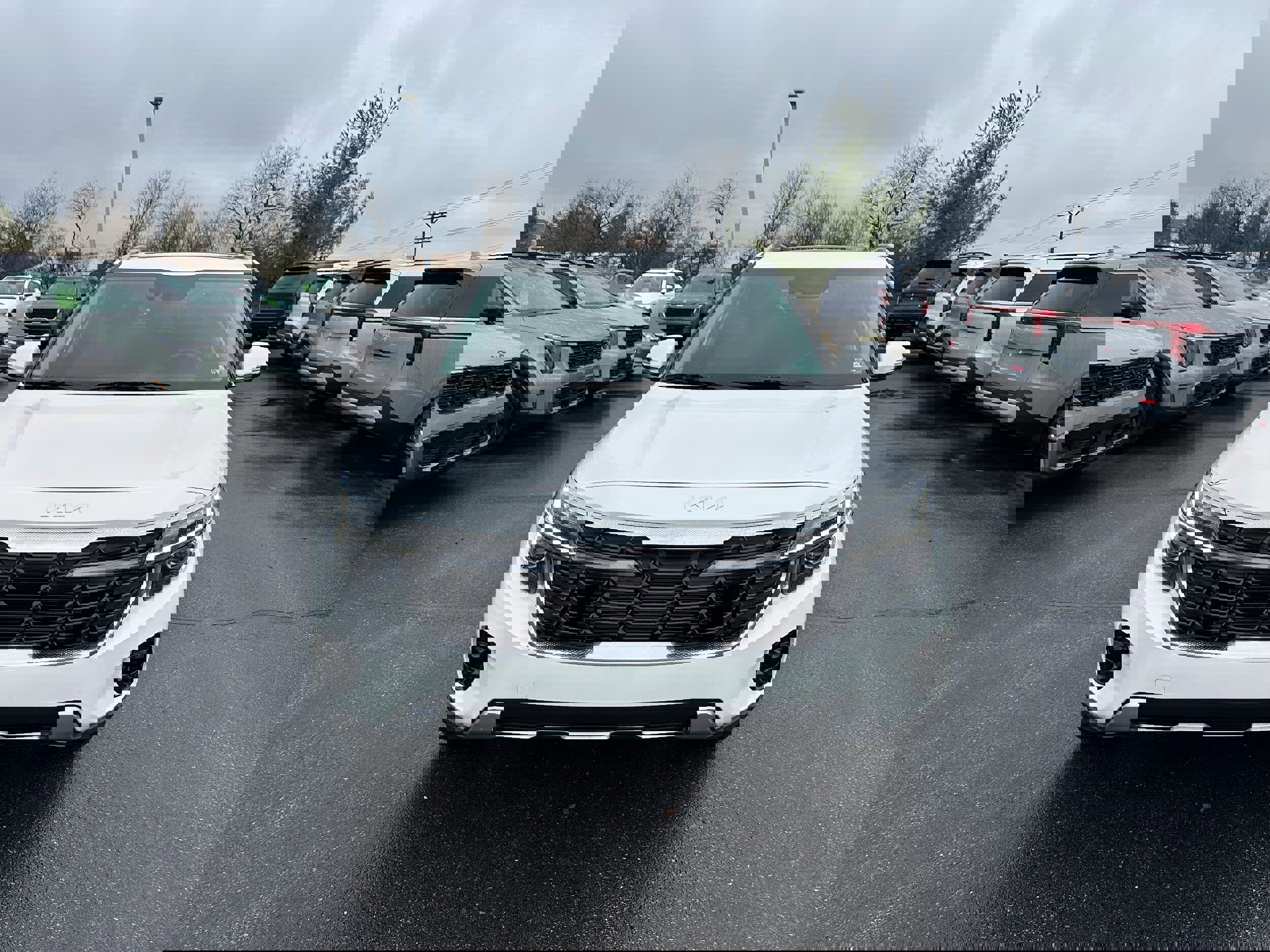 Used 2024 Kia Seltos EX image 2