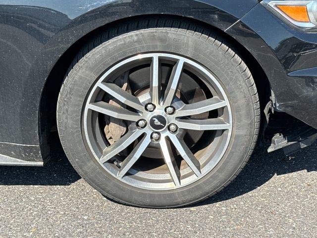 Used 2015 Ford Mustang GT Premium w/ Equipment Group 401A RWD image 11