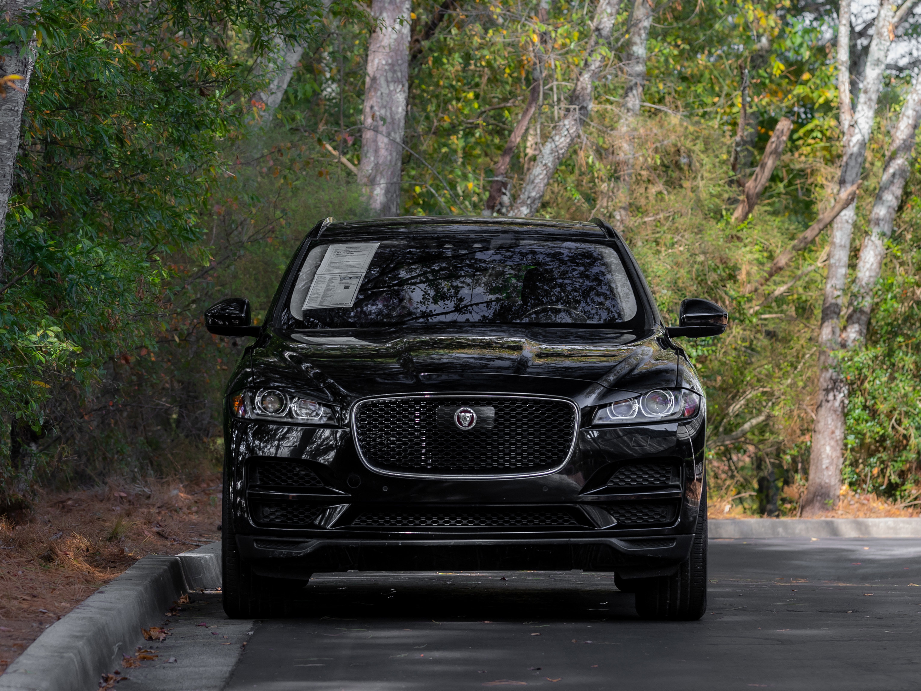 Used 2019 Jaguar F-PACE Prestige image 35