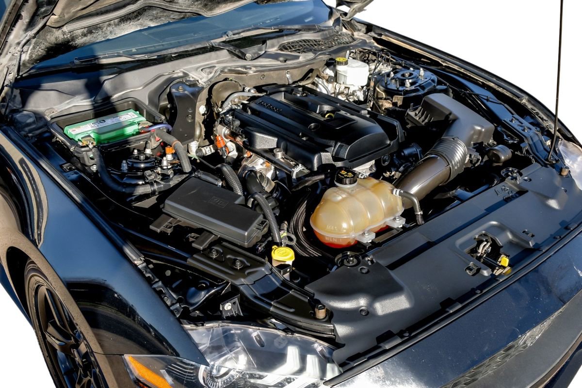 Used 2019 Ford Mustang Coupe image 46