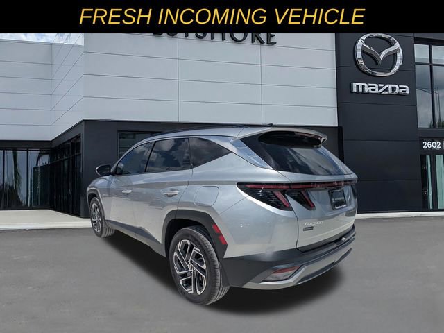 Used 2025 Hyundai Tucson Limited image 5