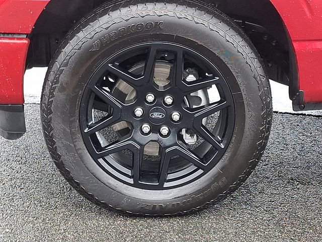 Used 2024 Ford F150 STX w/ STX Black Appearance Package image 8