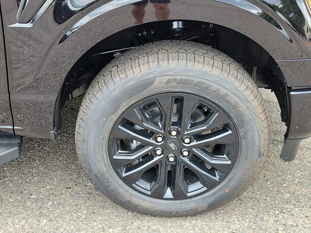 New 2025 Ford F150 XLT w/ Equipment Group 303A High image 19