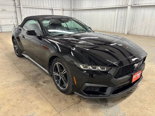 Used 2025 Ford Mustang Premium video 1