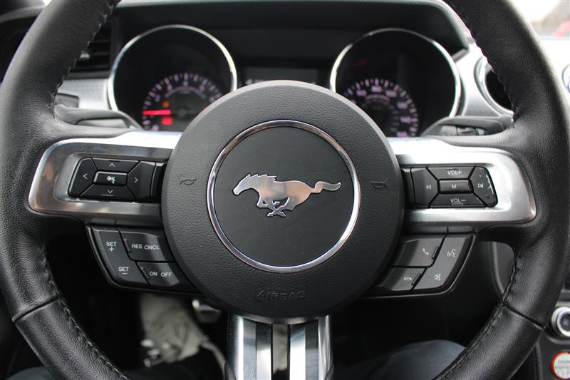 Used 2017 Ford Mustang Coupe w/ Ecoboost Performance Package image 14