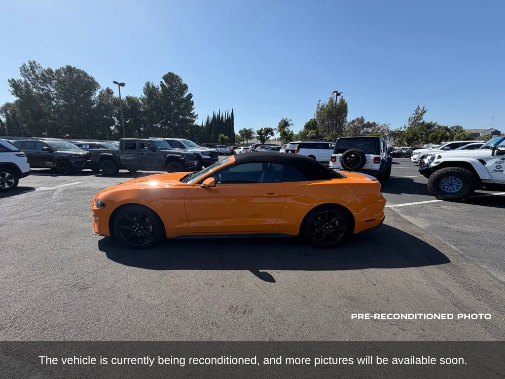 Used 2019 Ford Mustang Convertible w/ Equipment Group 101A RWD image 2