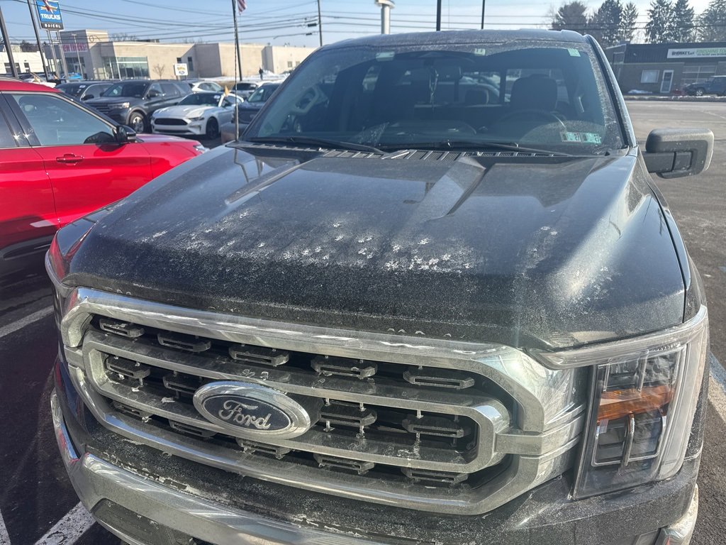 Used 2022 Ford F150 XLT w/ Equipment Group 302A High image 2