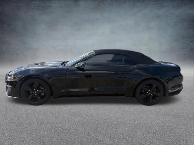 Used 2019 Ford Mustang Premium RWD image 10