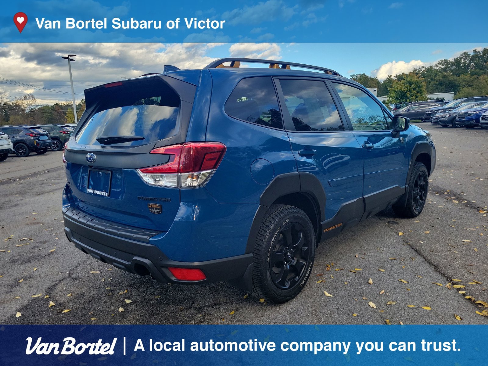 Used 2022 Subaru Forester Wilderness AWD/4WD image 5