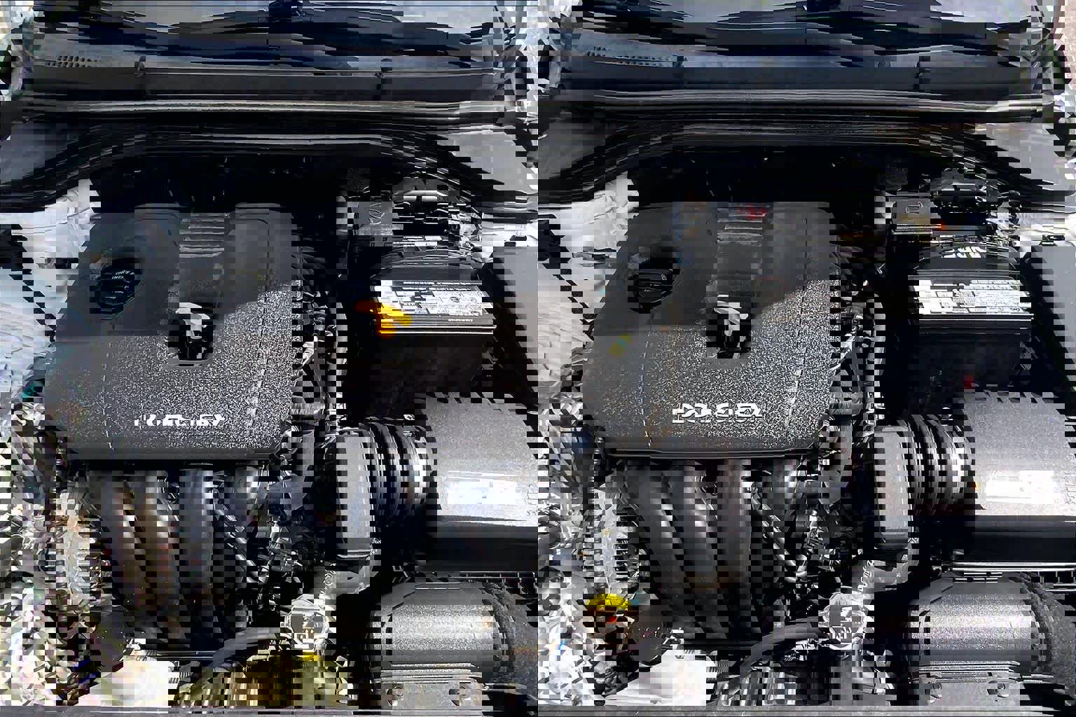 Used 2017 Hyundai Elantra Value Edition w/ Cargo Package image 32