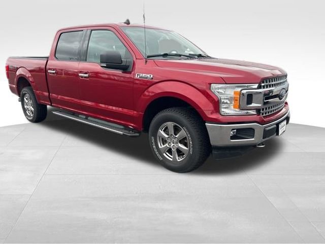 Used 2019 Ford F150 XLT w/ Equipment Group 302A Luxury image 3