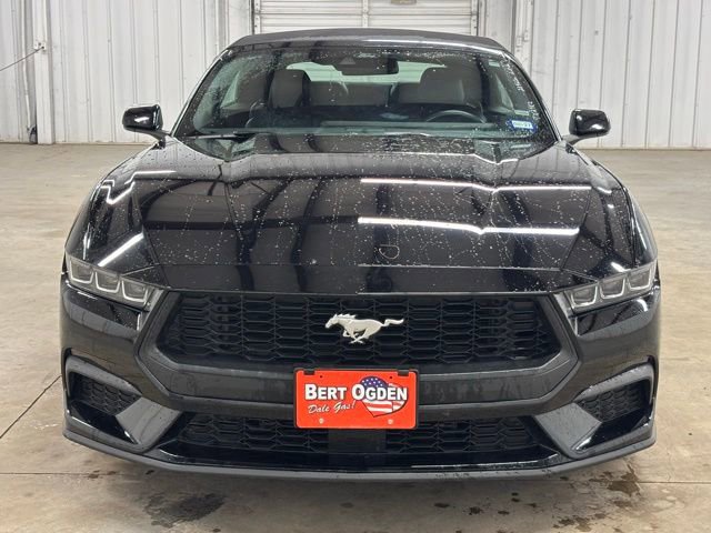 Used 2025 Ford Mustang Premium image 2