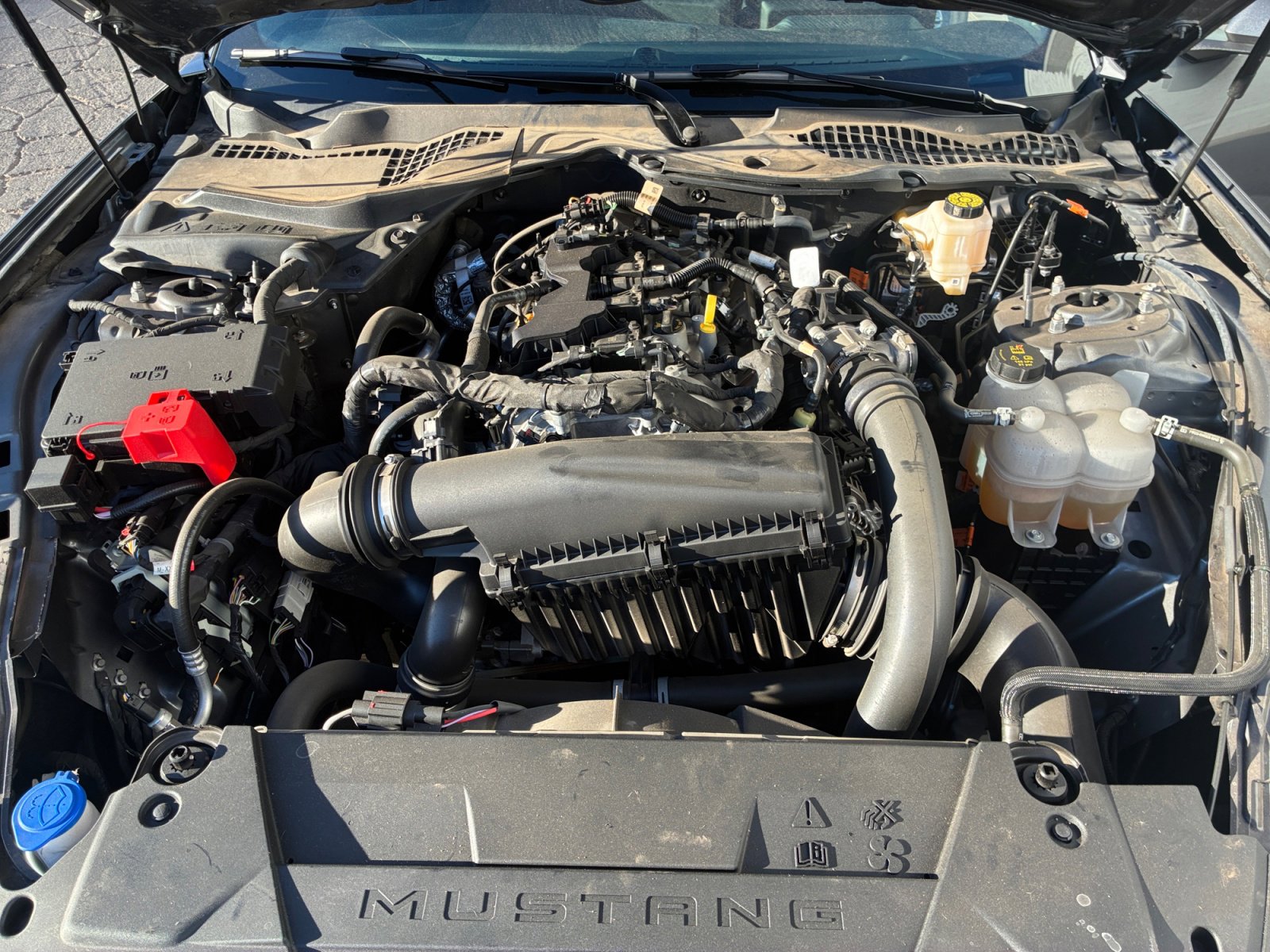 Used 2025 Ford Mustang EcoBoost image 30